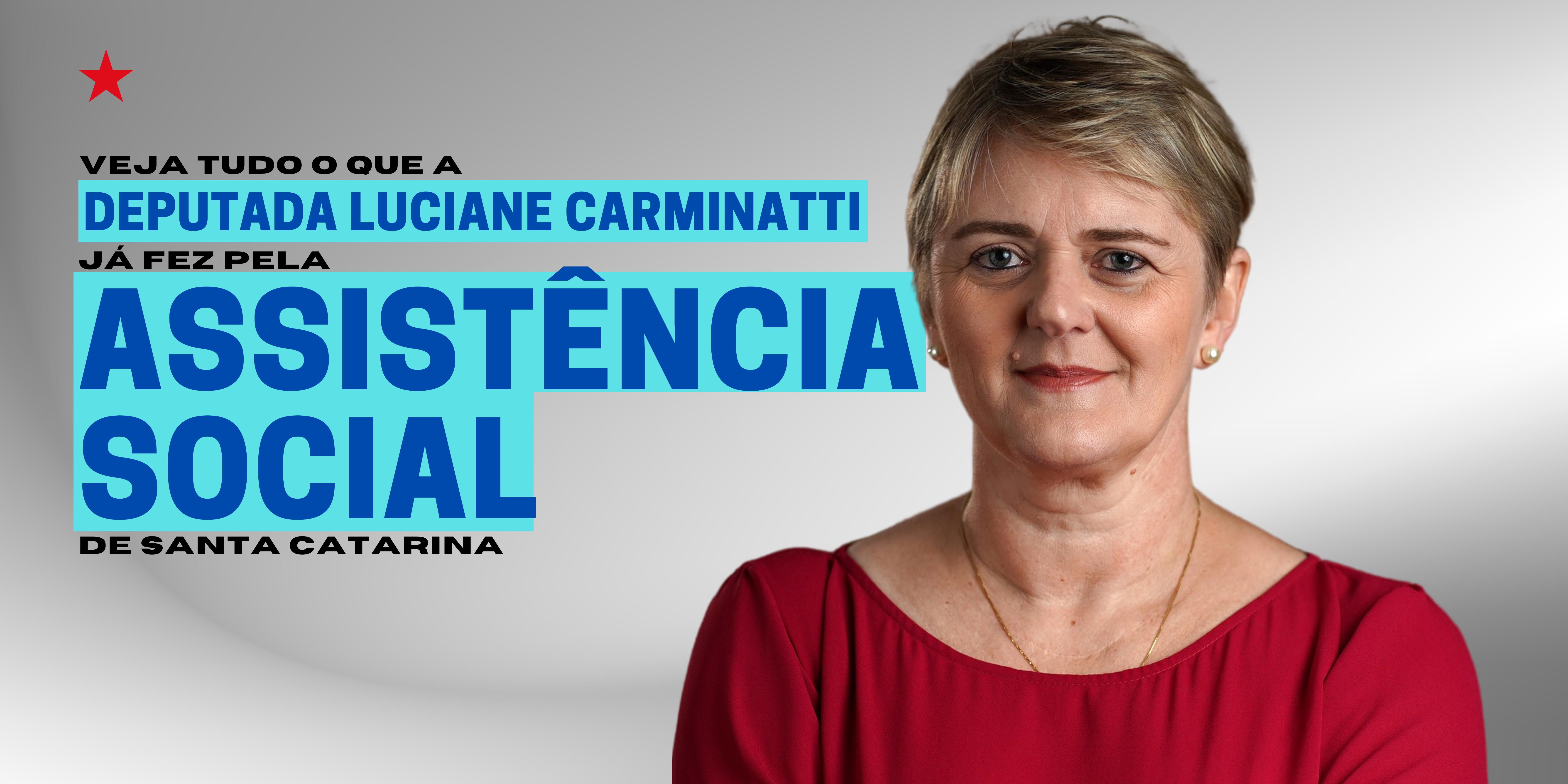 Frente lança comitê estadual com foco na assistência social durante  pandemia - Luciane Carminatti